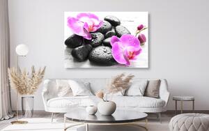Slika prekrasan sklad kamenja i orhideje