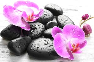 Slika prekrasan sklad kamenja i orhideje