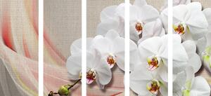 5-dijelna slika bijela orhideja na platnu