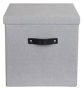 Svijetlo siva kutija za pohranu Bigso Box of Sweden Logan