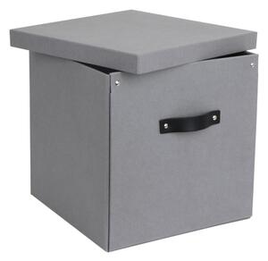Svijetlo siva kutija za pohranu Bigso Box of Sweden Logan