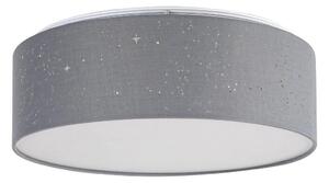 Rabalux - LED Stropna svjetiljka LED/22W/230V siva