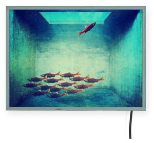Zidna svijetleća dekoracija Surdic Free Fish, 40 x 30 cm
