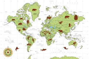 Slika na plutu karta sa životinjama