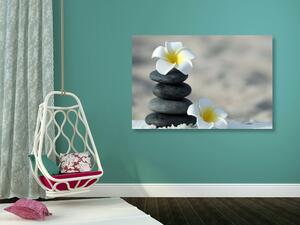 Slika harmonično kamenje i cvijet plumerija