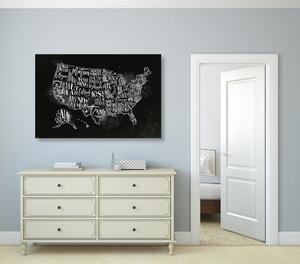 Slika na plutu školski zemljovid SAD-a s pojedinim državama