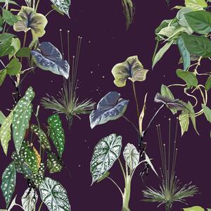 Samoljepljiva tapeta biljke na noćnom nebu