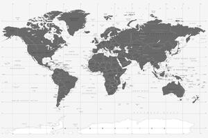 Slika na plutu politički zemljovid svijeta u crno-bijelom dizajnu