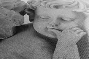 Slika crno-bijeli usnuli anđeo