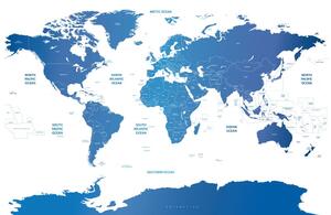 Slika na plutu zemljovid svijeta s pojedinim državama