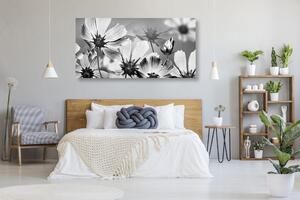 Slika vrtno cvijeće u crno-bijelom dizajnu