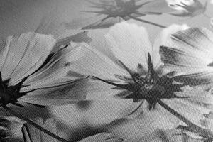 Slika ljetno cvijeće u crno-bijelom dizajnu