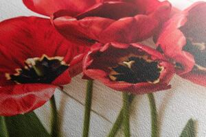 Slika rascvjetani crveni tulipani