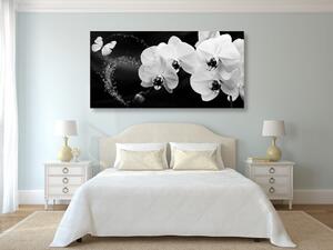 Slika crno-bijela orhideja i leptir