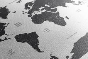 Slika na plutu zemljovid svijeta s pojedinim državama u sivoj boji