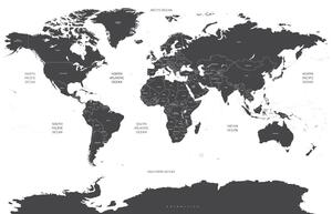 Slika na plutu zemljovid svijeta s pojedinim državama u sivoj boji
