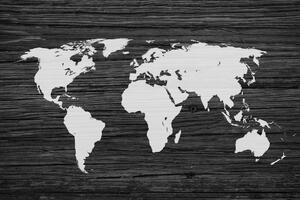 Slika zemljovid svijeta na drvu u crno-bijelom dizajnu