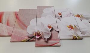 5-dijelna slika bijela orhideja na platnu