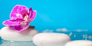 Slika bijelo Zen kamenje i orhideja