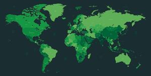 Tapeta detaljni zemljovid svijeta u zelenoj boji