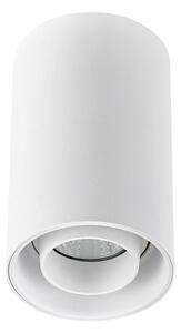 Reflektorska svjetiljka CHLOE 1xGU10/50W/230V bijela