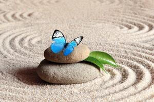 Fototapeta plavi leptir na Zen kamenu