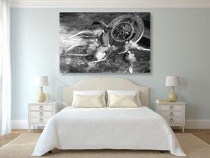 Slika hvatač snova u crno-bijelom dizajnu