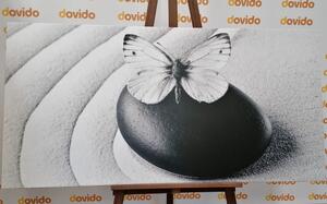 Slika Zen kamen s leptirom u crno-bijelom dizajnu