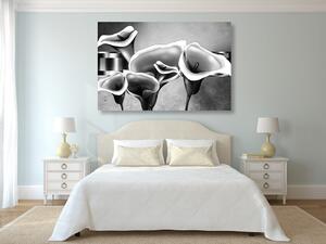 Slika elegantni cvjetovi kale u crno-bijelom dizajnu