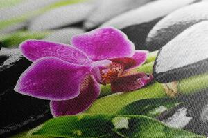 Slika wellness mrtva priroda s ljubičastom orhidejom