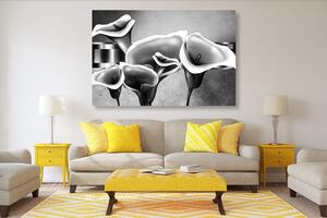 Slika elegantni cvjetovi kale u crno-bijelom dizajnu