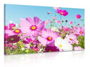 Slika livada s proljetnim cvijećem