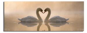 Slika na platnu Swan Love, 90 x 30 cm