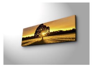 Slika s pozadinskim osvjetljenjem Wallity Tree, 90 x 30 cm