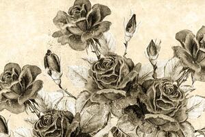 Slika vintage buket cvijeća u sepijastom tonu