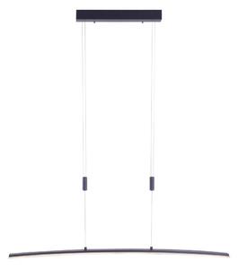 Paul Neuhaus 2530-13 - LED Prigušivi luster na sajli JANINA LED/27W/230V