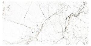 Porculanska pločica Windsor Burgundy (60 x 120 cm, Bijela, Mat)