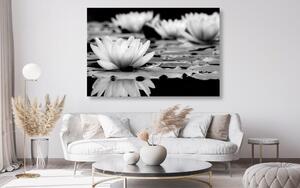 Slika lotosov cvijet u crno-bijelom dizajnu