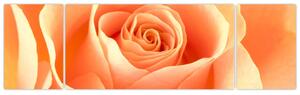 Slika - narančaste ruže (170x50cm) (F000693F17050)