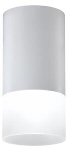 Reflektorska svjetiljka TUBA 1xGU10/15W/230V siva/bijela