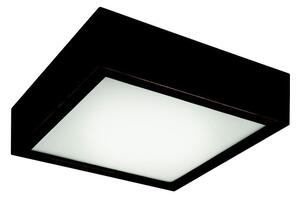 Crna kvadratna stropna svjetiljka Lamkur Plafond, 27,5 x 27,5 cm