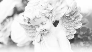 Slika anđelić