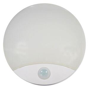LED Vanjska stropna svjetiljka sa senzorom LED/15W/230V IP44