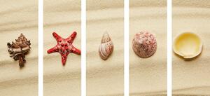 5-dijelna slika školjke na pješčanoj plaži