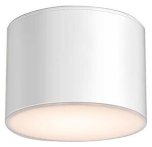 Shilo 7720 - Stropna svjetiljka za kupaonicu SUWA 1xGX53/15W/230V IP44 bijela