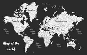 Slika na plutu crno-bijeli jedinstveni zemljovid svijeta