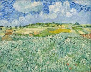 Reprodukcija Plain at Auvers, 1890, Vincent van Gogh