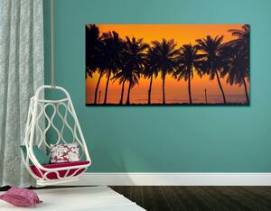 Slika zalazak sunca iznad palmi
