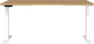 Radni stol 80x160 cm Jet – Germania