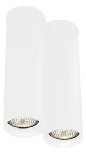 Shilo 7012 - Stropna svjetiljka ARIDA 2xGU10/15W/230V bijela